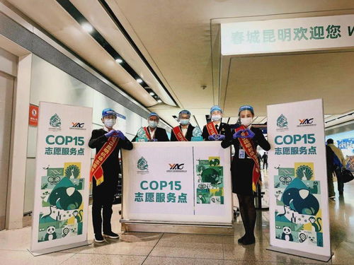 护航COP15 让盛会靓丽名片飞起来 — 云南航空产业投资集团多措并举做好COP15大会保障工作